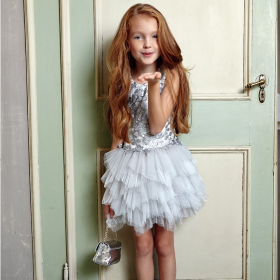 Silver Layered Tulle Dress