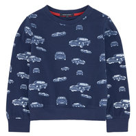 Toddler Boy Printed Sweater