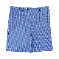 Blue Gingham Shorts
