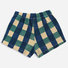 Checkered Shorts Thumbnail