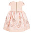 Soft Pink Embroidered Dress Thumbnail