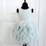Mint Fanciful Lace and Tulle Dress Thumbnail