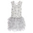 Silver Layered Tulle Dress Thumbnail