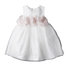 Blossom Dress in White Thumbnail