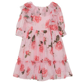 Rose Garden Printed Dress